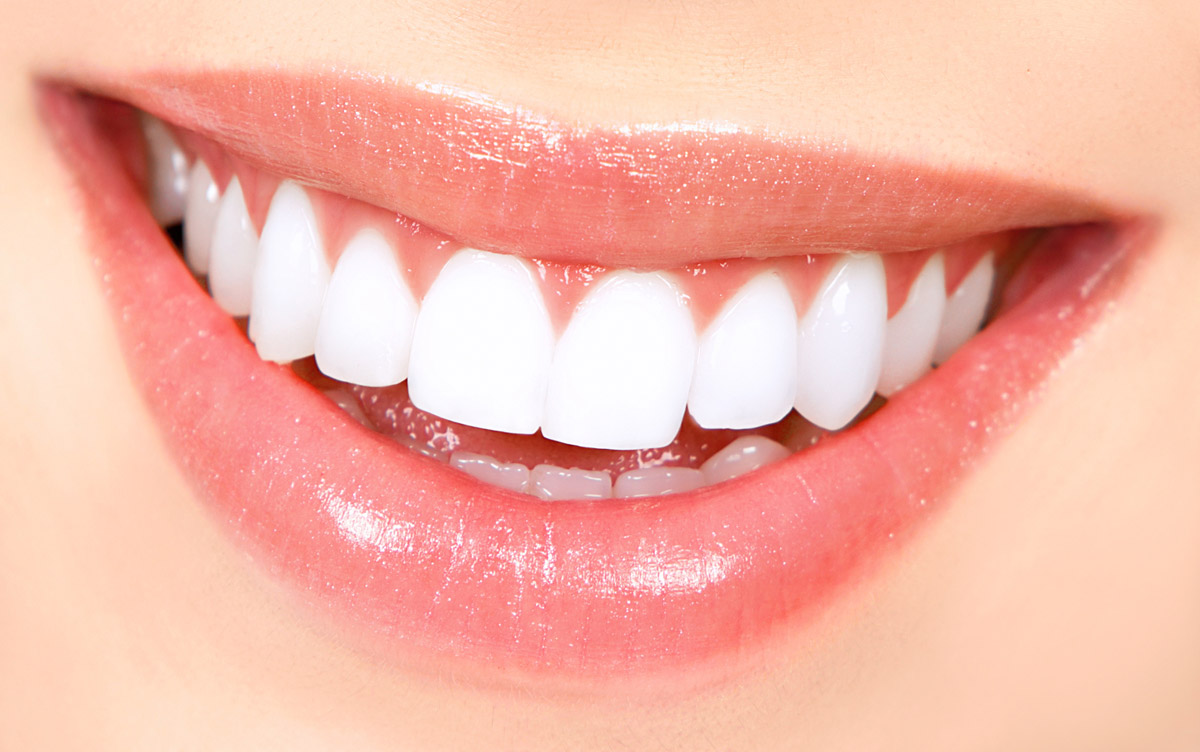 تاثیر دندان بر سیستم گوارش:گفتار توان گستر 09121623463‬‌